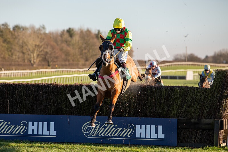 221124-Race 4-Duke Of Luckley--8569 - Race 4