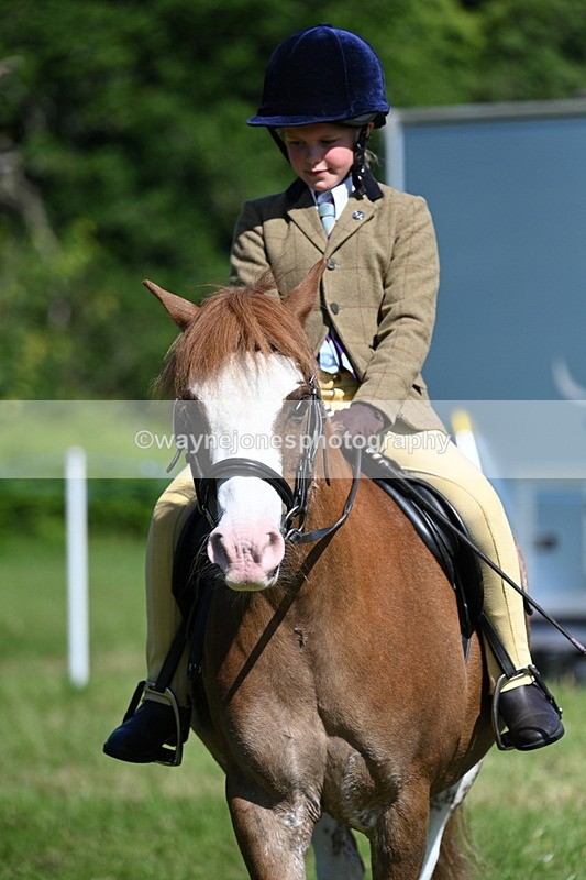 WJ7_0701 - Class 8 First Rally Pony