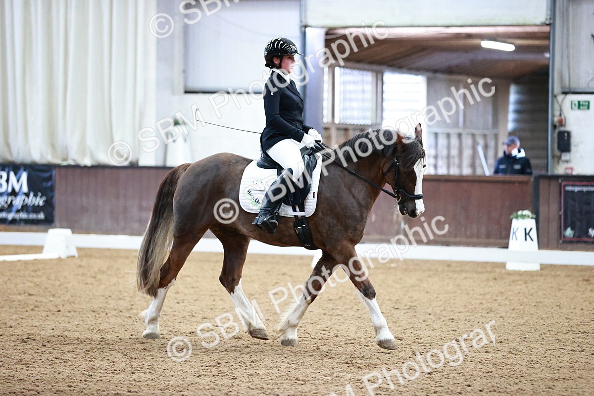 SBM_000157 - Class 3, 4, 8, 10 Intro 3 Prelim 3 Novice 2