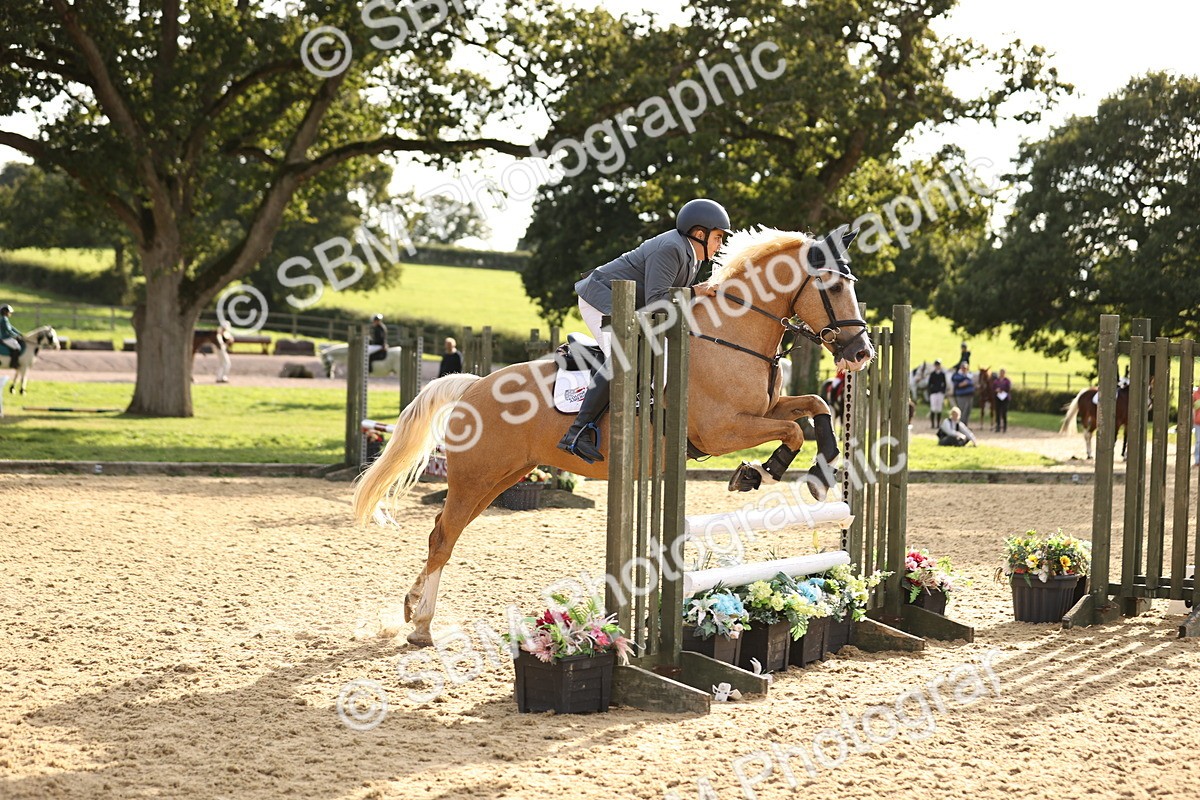 SBM_52986 - J10 - Junior Pony 75cm Championship