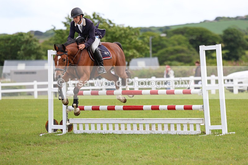 3E7A7688 - Class 13: Senior British Novice/90cm open