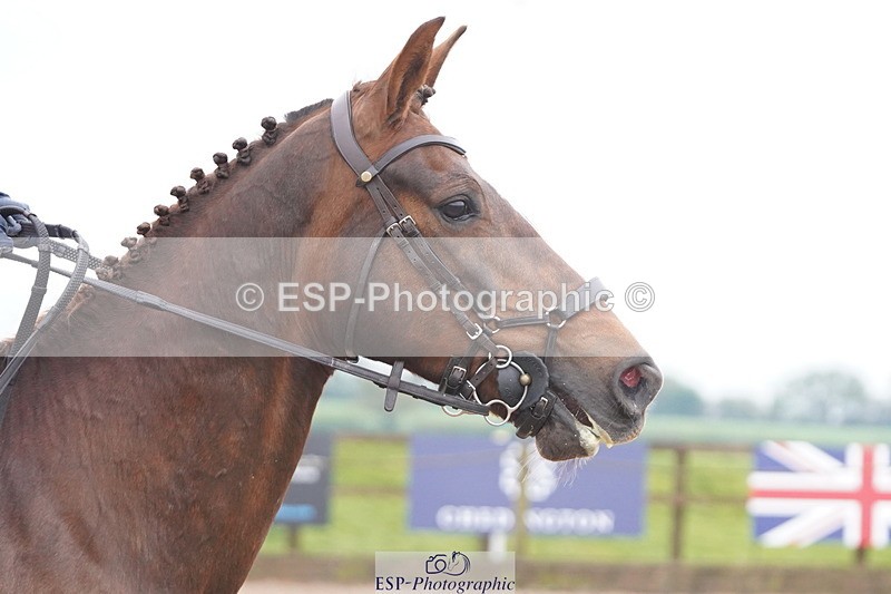 250419-105624-08493 - 512-Lamorna.May-THEODORA