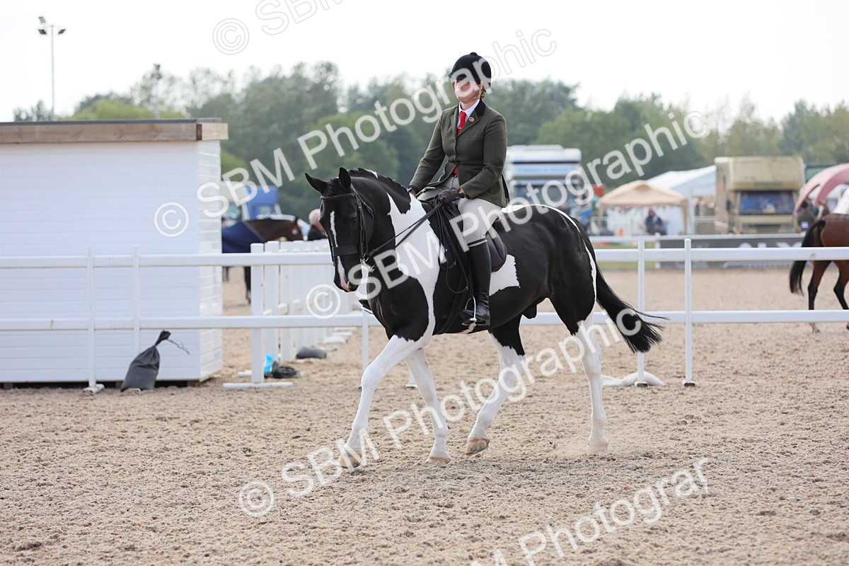 SBM_13472 - Class 308 Ridden Coloured Horse