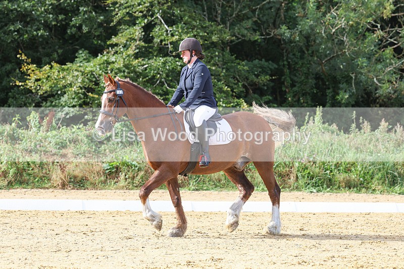 3E7A2256 - Class 1: Intro 4 2024 section A