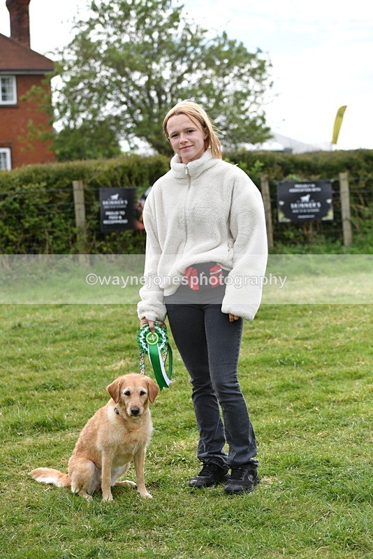 WJ5_9414 - Class 1 Best Cross Breed / Heniz 57