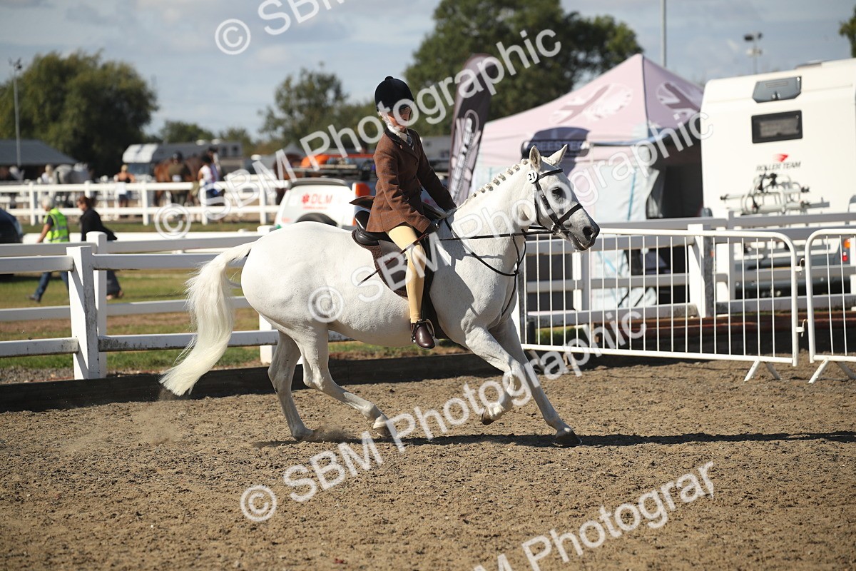 SBM_12756 - Class 504b - Junior Working Veteran - 40cm (20+)