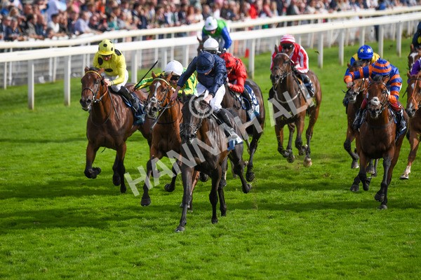 250823-Race 6-Battle Cry-1027 - Race 6 4.45pm British EBF 40th Anniversary Convivial Maiden Stakes