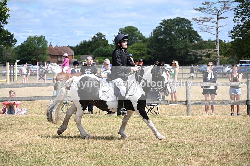 WJ6_5366 - Class 12 Minimus Jumping 45cm