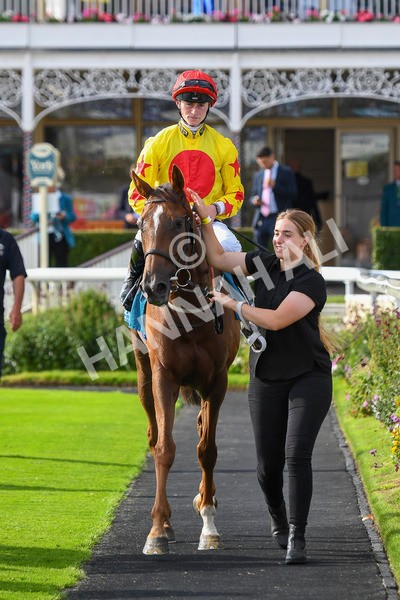 280723-Race 2-Quest For Fun-0222 - Race 2 5.30pm eventmasters.co.uk Handicap