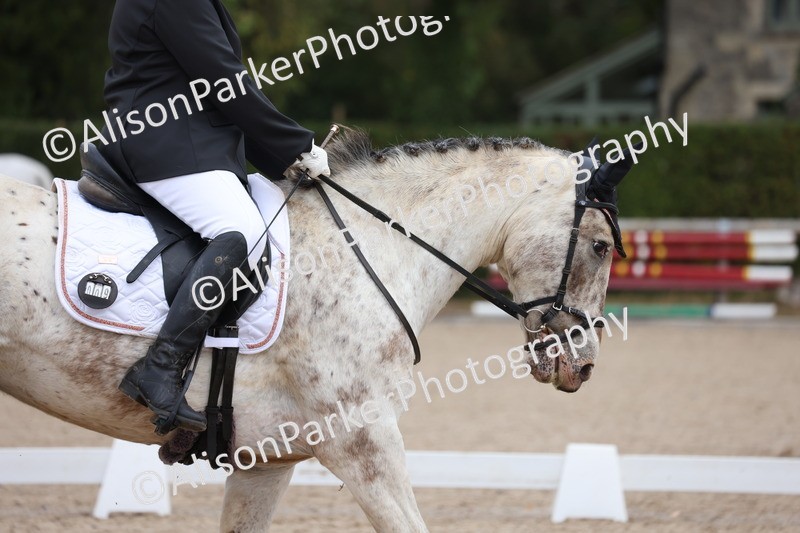 20250820-0101 - Class 7 - My Quest Intro 3