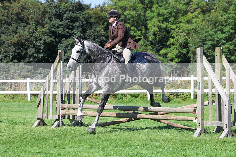 3E7A8278 - Class 4: Novice working Hunter