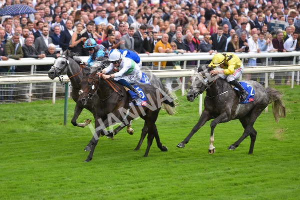 yr21082021r2-22 - Race 2 2.25pm Sky Bet Melrose Stakes