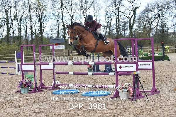 BPP_3981 - CLASS 4 Senior Newcomers/ 1.10m Open