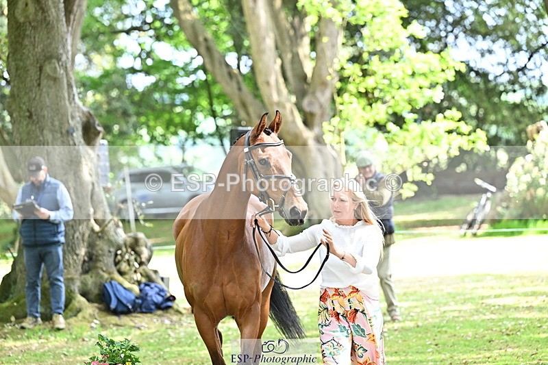 250521A-151748-00407 - B-362-Kat.Raybould-THE.ELLFIELD.DIKSTER