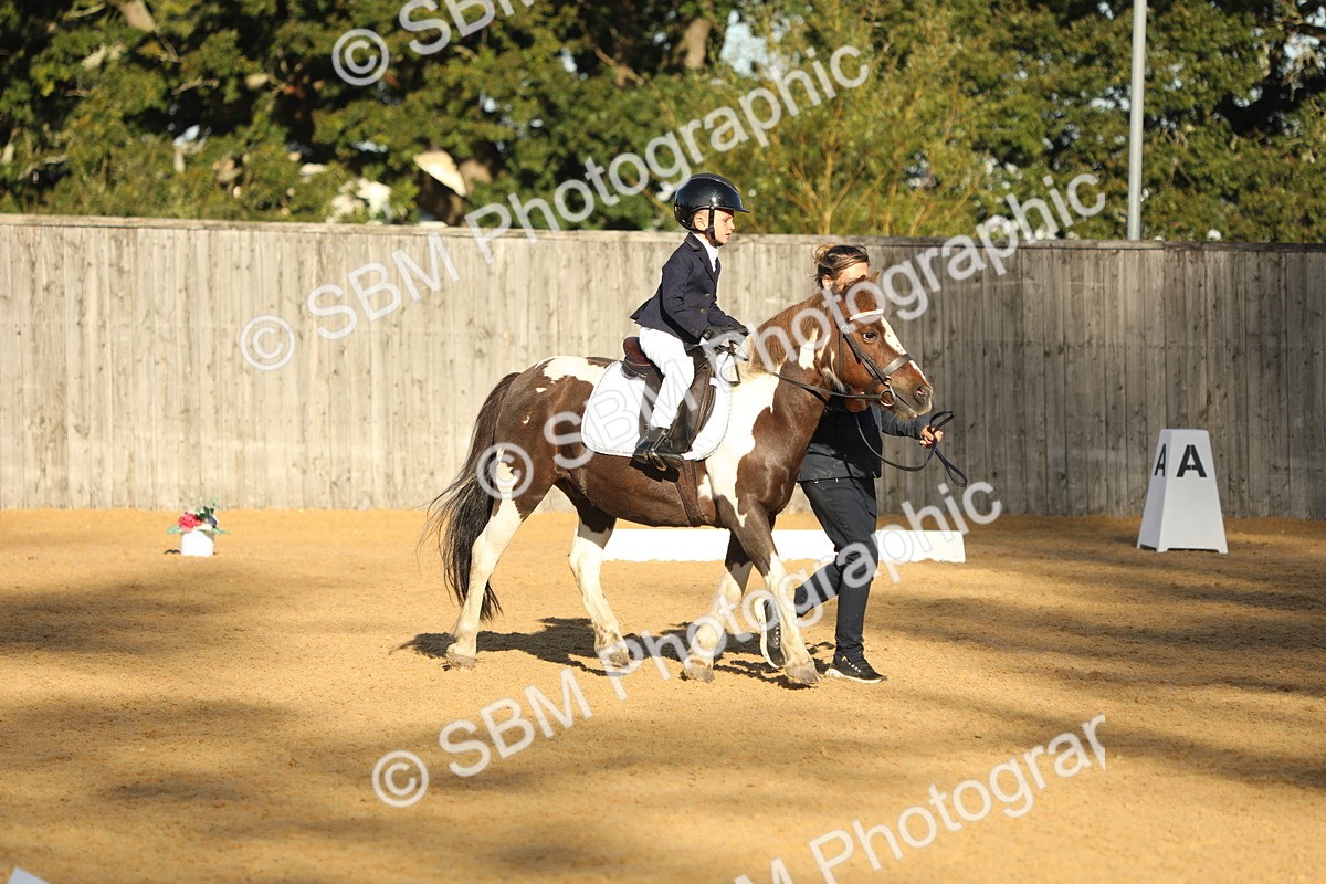 SBM_33694 - D26 - Starers - Lead Rein