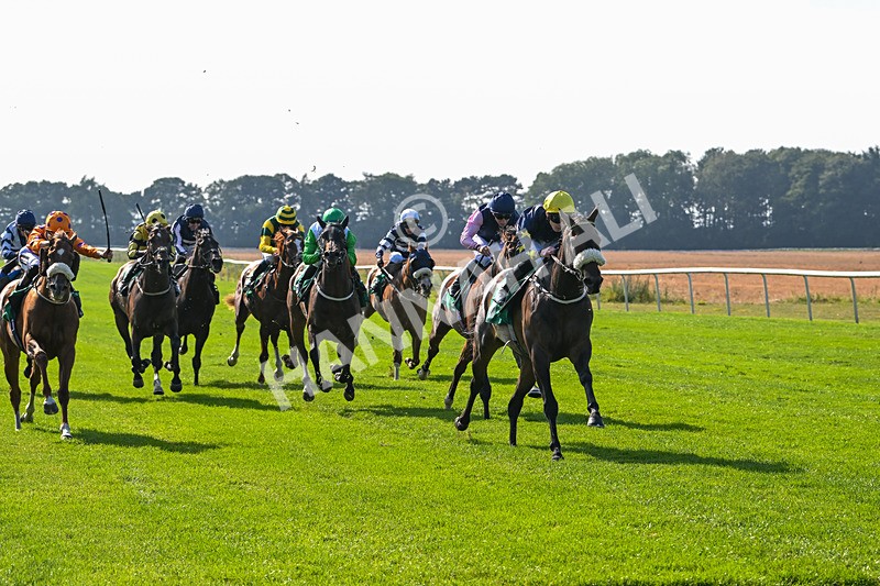 300824-Race 5-Shesashambles-6193 - Race 5