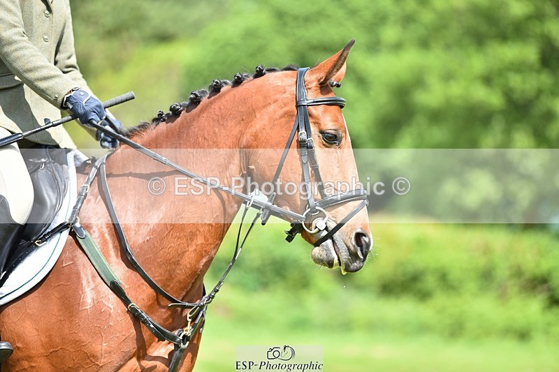 240523B-113246-01995 - 5 Year Old