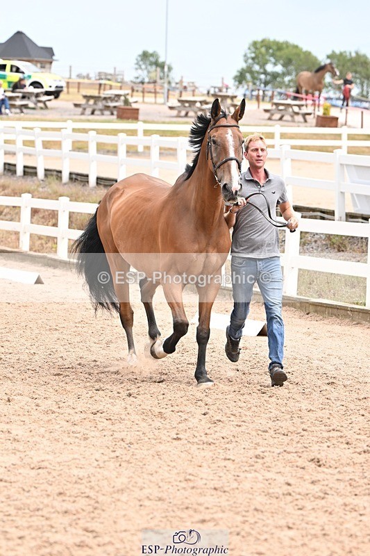 250716-144947-01441 - Trot Up 2.30 to 3.30