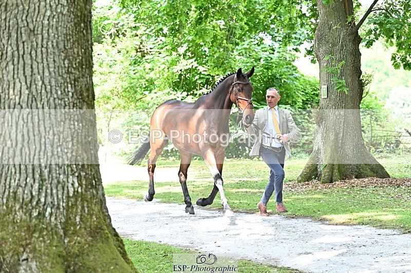 250521A-151550-00380 - B-355-Andrew.James-PRIMITIVE.PROPOSITION