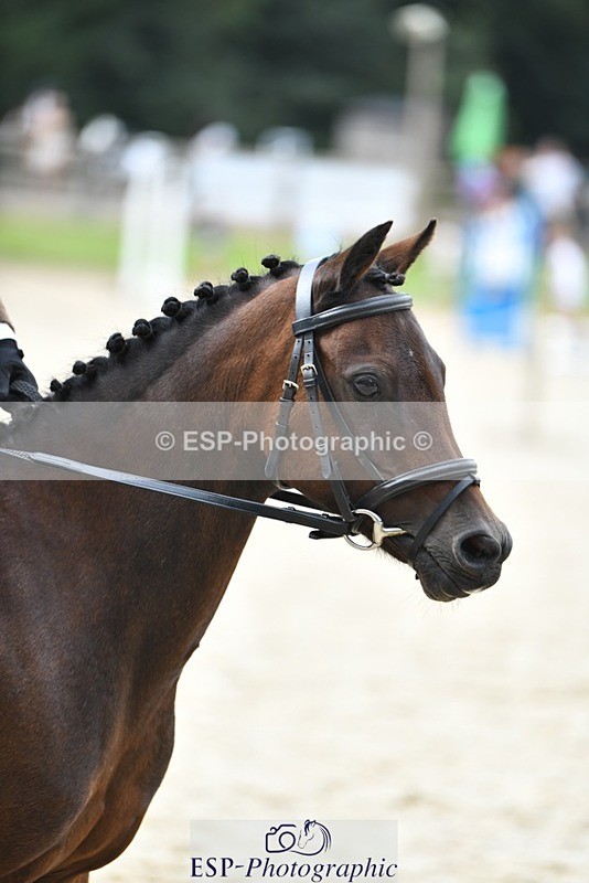 230824-124904-03040 - Round 2 12.15 to End