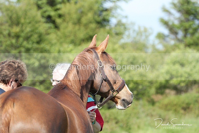 SPXX0015 - Friday vetting