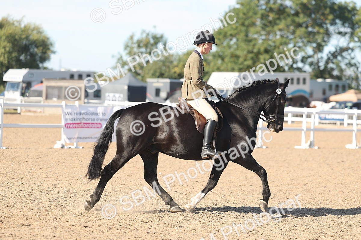 SBM_12331 - Class 304 - Ridden part Bred Horse Pony