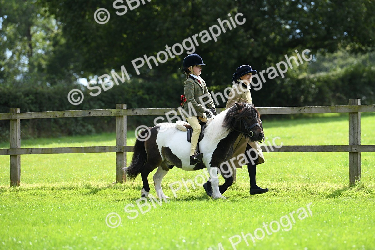 SBM_42514 - S20 - Lead Rein Mountain & Moorland Pony