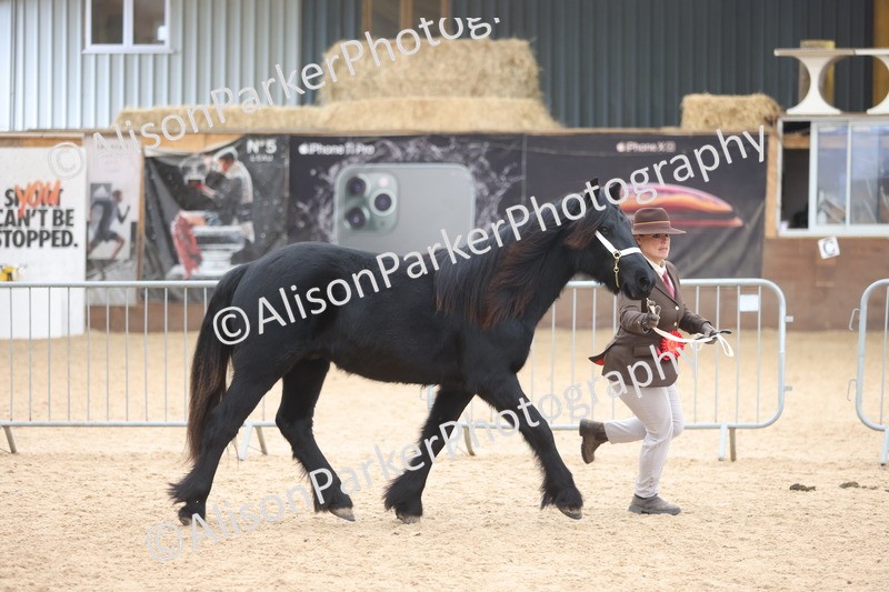 20251109-1160 - Championship