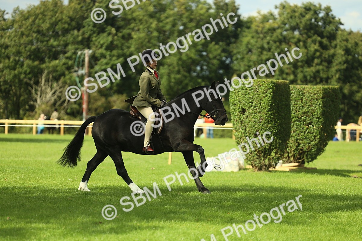 SBM_44925 - Working Hunter Pony Supreme Championship