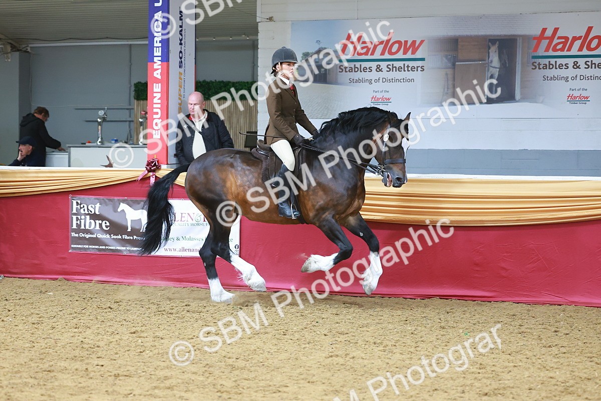 SBM_06023 - Class 12R - Ridden Pre-Vet