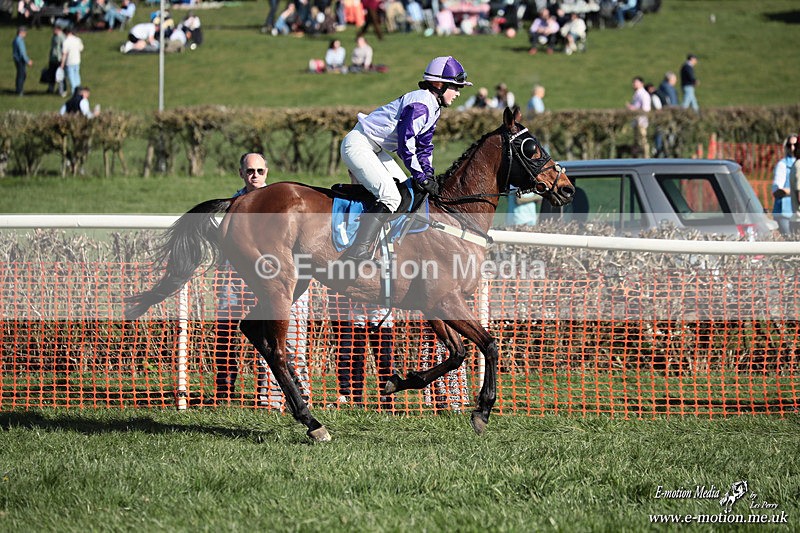 PtP 210326 637 - VWH Cirencester Races 21/03/26