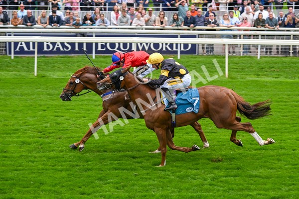 080925-Race 2-Alzahir-7437 - Race 2 3.00pm Sky Bet Super Sub Sprint Handicap