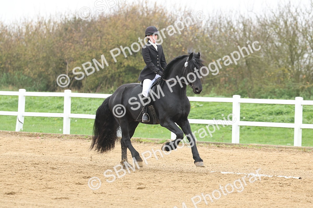 SBM_002541 - Class 5 - Novice 27