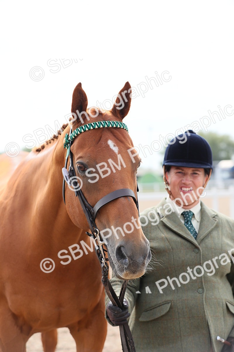 SBM_15953 - Class 313 IH Retired Racehorse