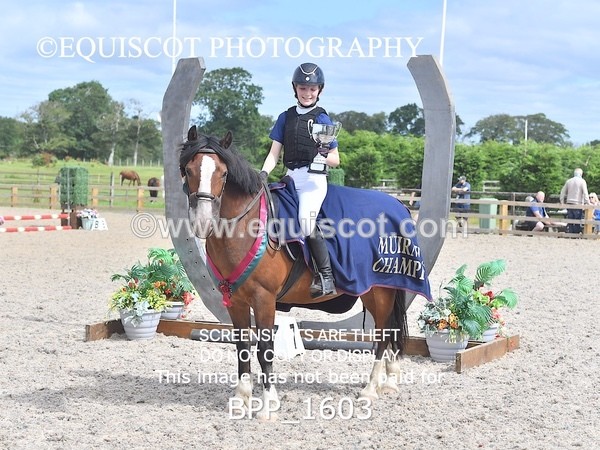 BPP_1603 - DERBY CLASS 3 - 40CM