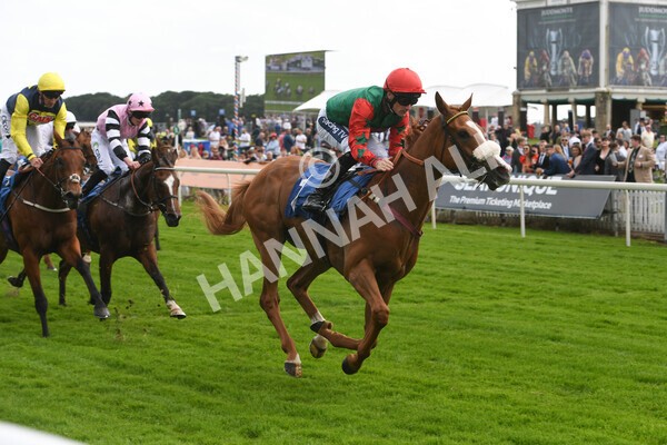 yr10062022r5-33 - Race 5 4.05pm Irish Thoroughbred Marketing Stakes