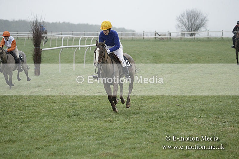 PtP 150320 0079 - New Forest Point-to-Point Larkhill 15/03/20