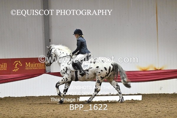BPP_1622 - PC GRASSROOTS DRESSAGE