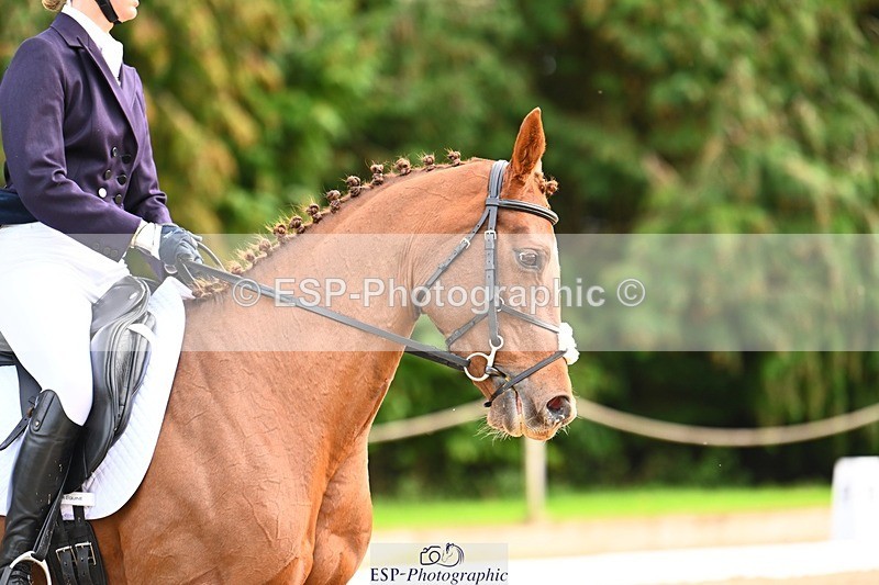 231021-134648-18548 - 246-NEDS.LEGACY-Araminta.Spencer-Churchill-DR