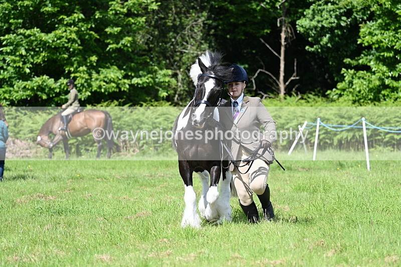 WJ7_1175 - Class 11 Condition & Turnout