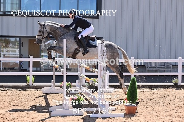 BPP_7160 - CLASS 14 FRI Nupafeeds Senior Dicovery/1m open