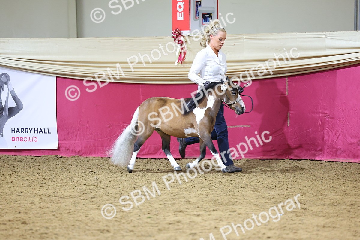 SBM_18673 - Class D IH Pony Champ