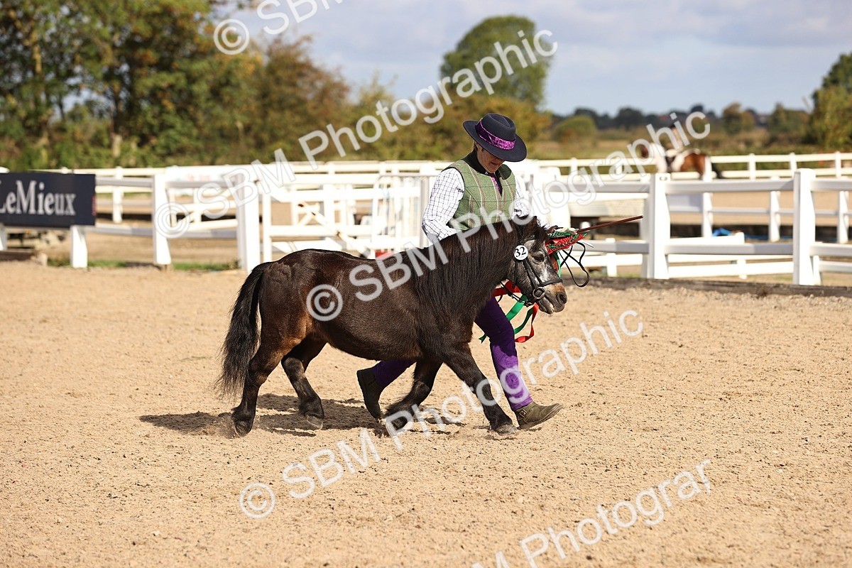 SBM_08563 - Class 402 - IH Veteran Pony
