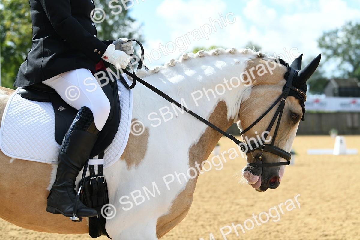 SBM_04476 - D7 Small Tour Championship Prelim 1