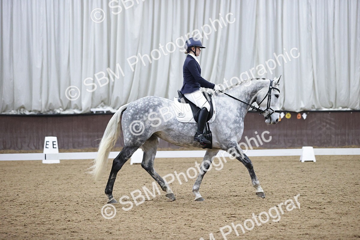 SBM_007294 - Class 5 - Novice 5