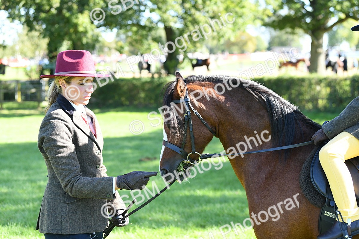 SBM_37001 - S18 - Novice & Newcomers Lead Rein Pony