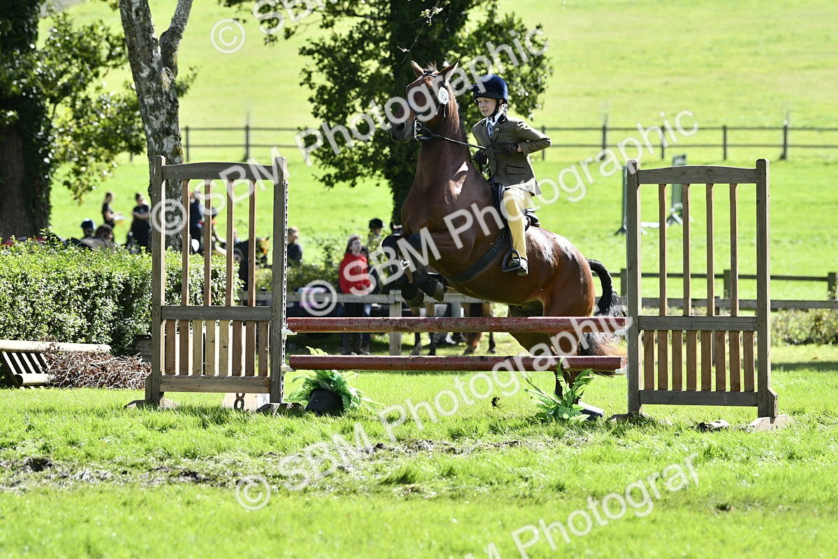 SBM_45710 - S33 - Working Hunter Pony