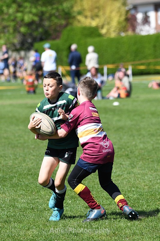  - Selby Rugby Festival 2025