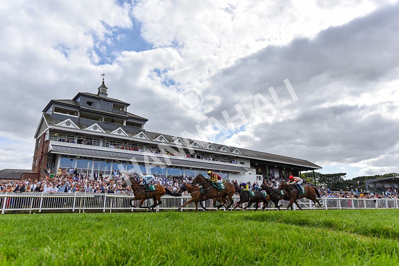 030824-Race 3-Alligator Alley-2443 - Race 3