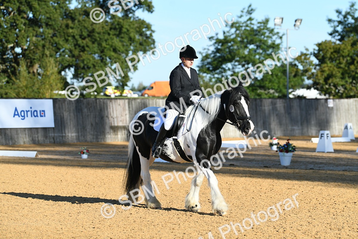 SBM_14445 - D4 - Small Tour Championship - Intro B